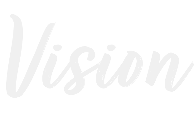 vision